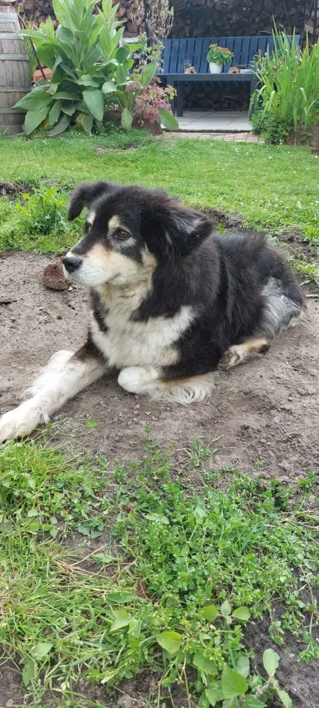 Condolence image of Sabine Funk