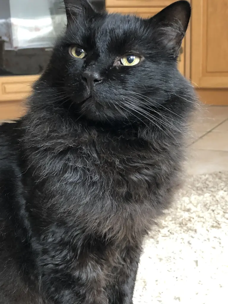 Andachtsbild von Martina Thimm