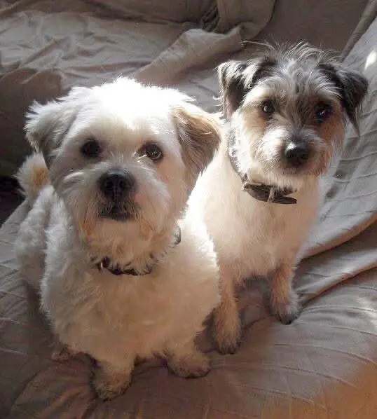 ♥️Fleece & Lilly ♥️