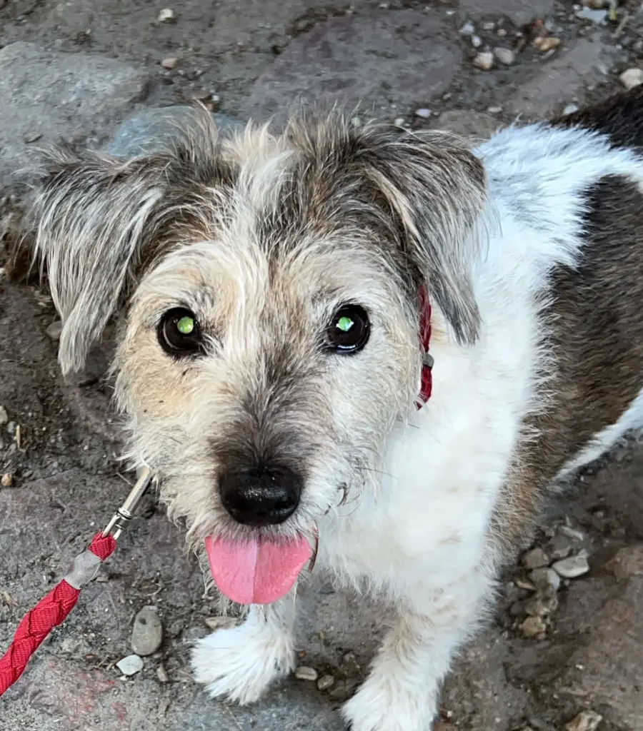 Ein Blick sagt alles❣️