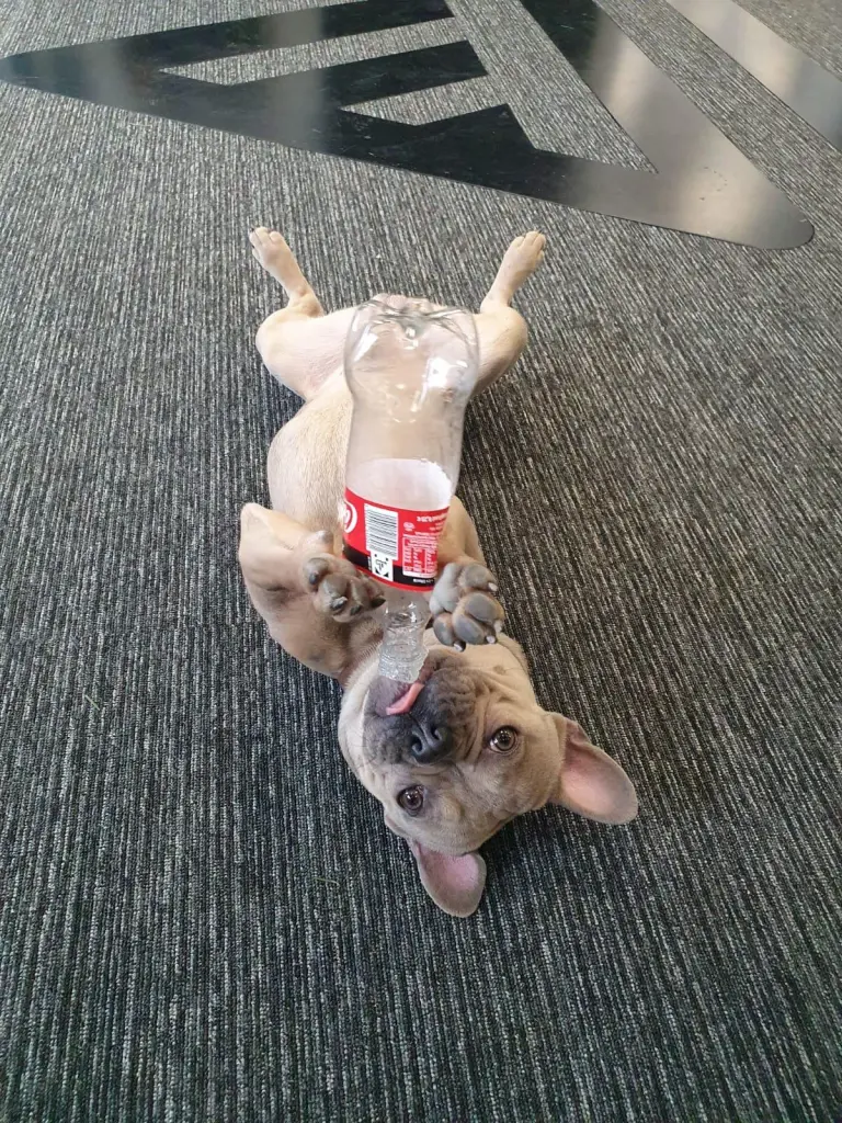 Andachtsbild von Erich Blum