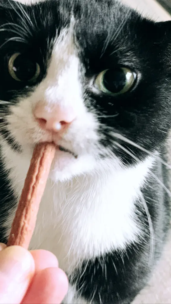 Lieblingssnacky