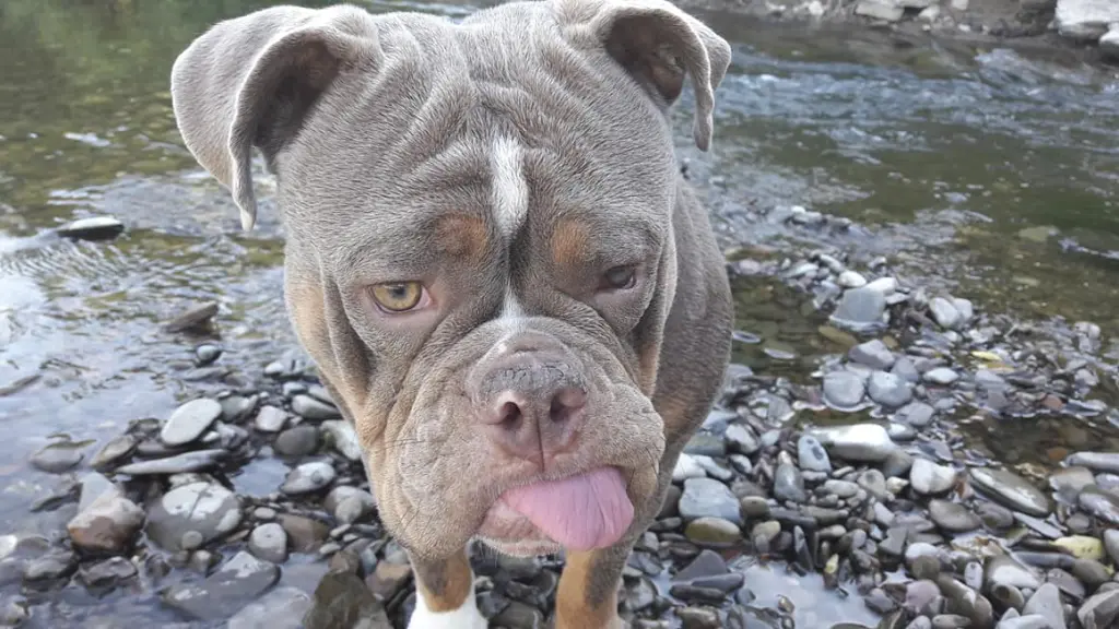 Andachtsbild von Helga Weber-Bohlscheid