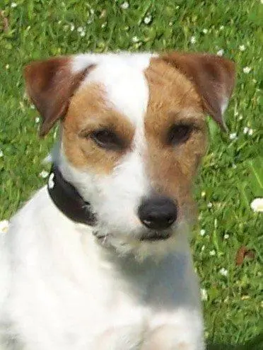 Image from Flynn