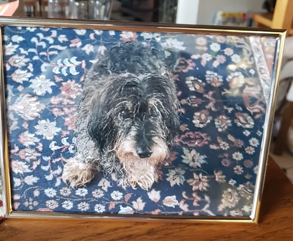 Condolence image of Elke Fabry