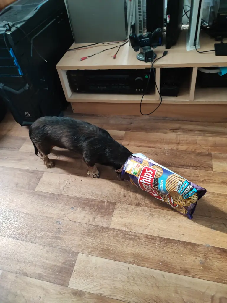 Guck mal in die Chipstüte