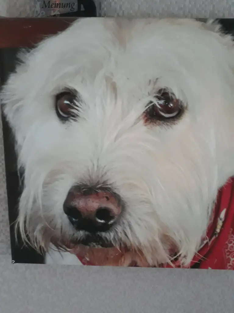 Condolence image of Heike