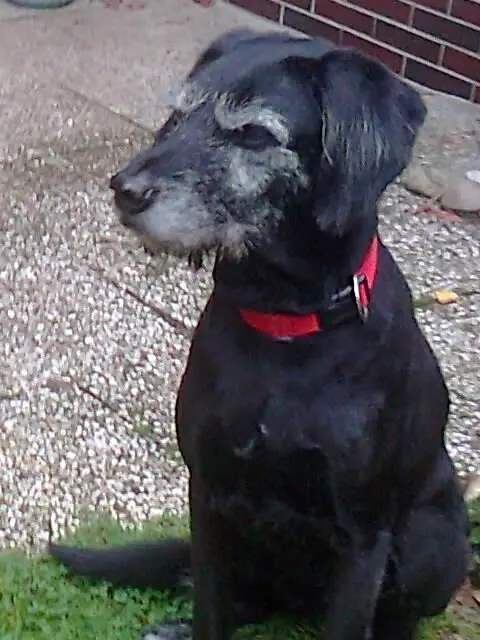 Condolence image of Christiane