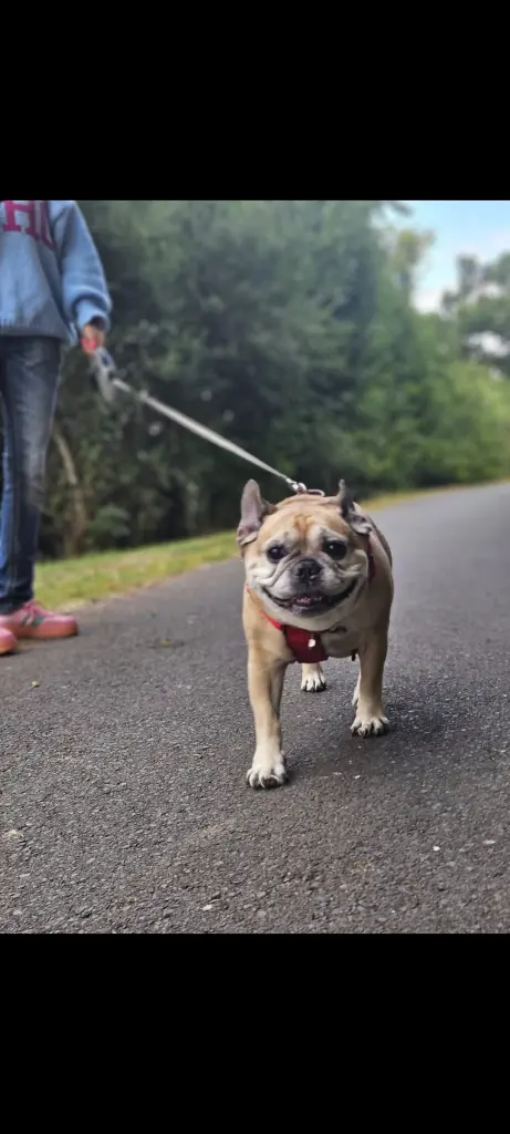 Andachtsbild von Tanja Kennel of Devil Bulls