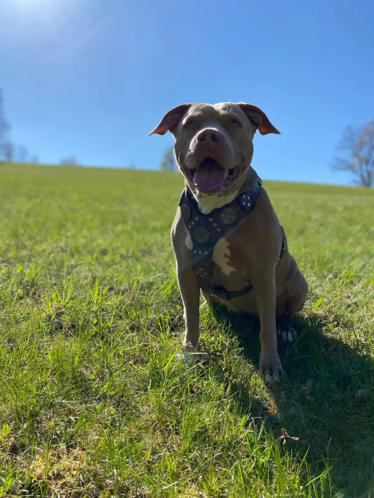 Condolence image of Dariusz Pawlenka