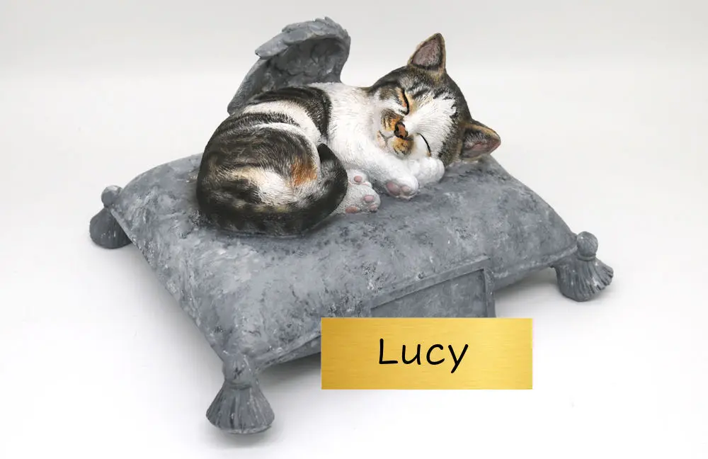 Image from Lucy