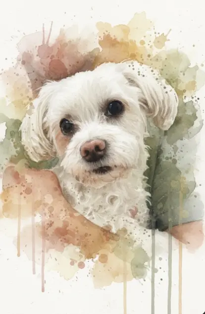 Image from Luna