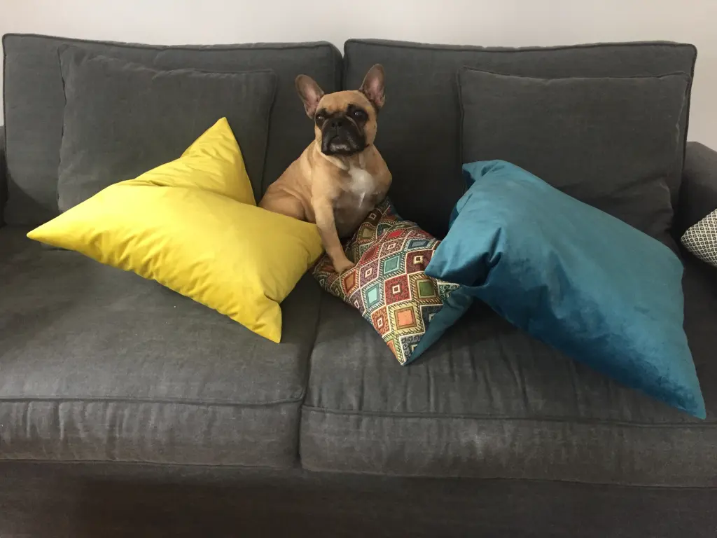Image from Bailey