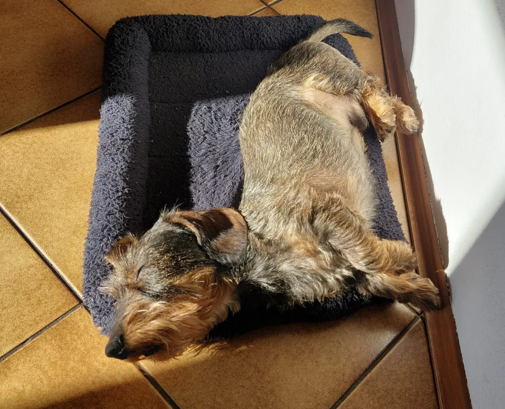 Condolence image of Melanie