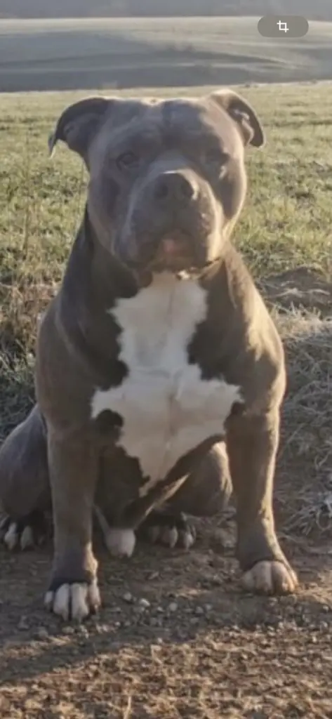 Condolence image of Marcus Toni Milde