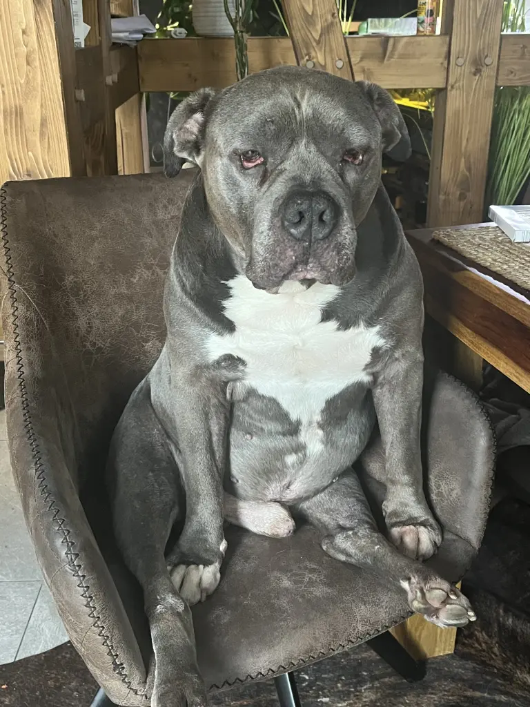 Nashis Lieblings platz