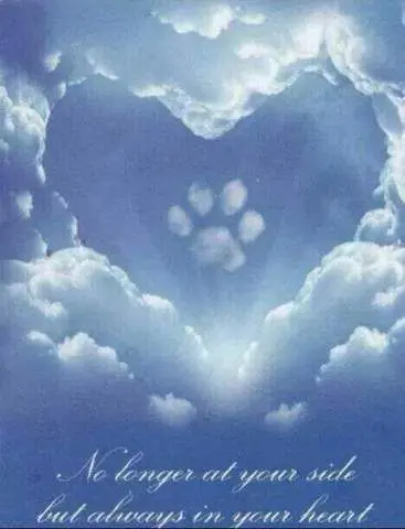 Condolence image of Carina