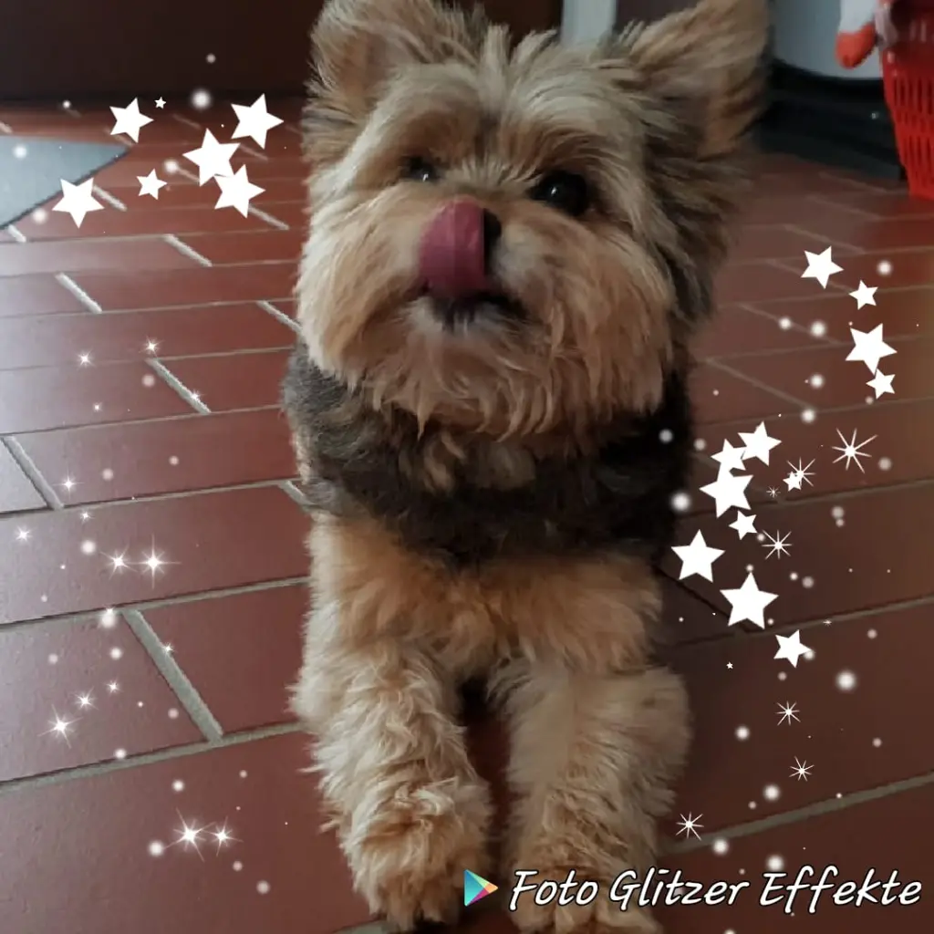 Image from Sammy