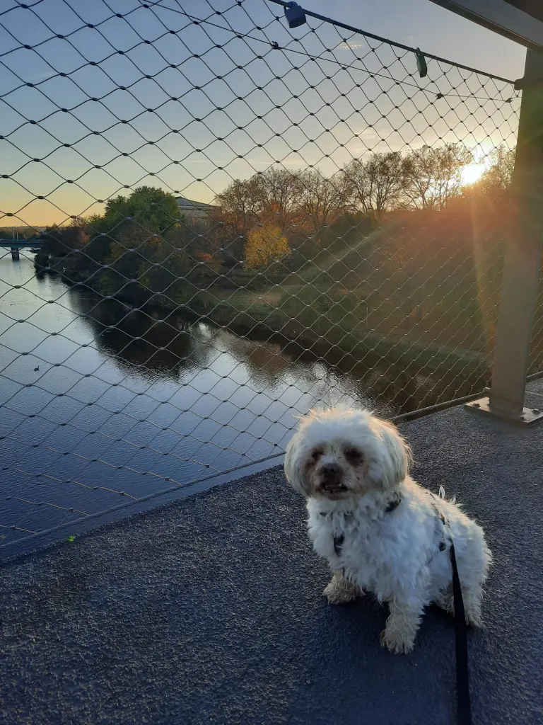 Andachtsbild von Jutta Mangelmans