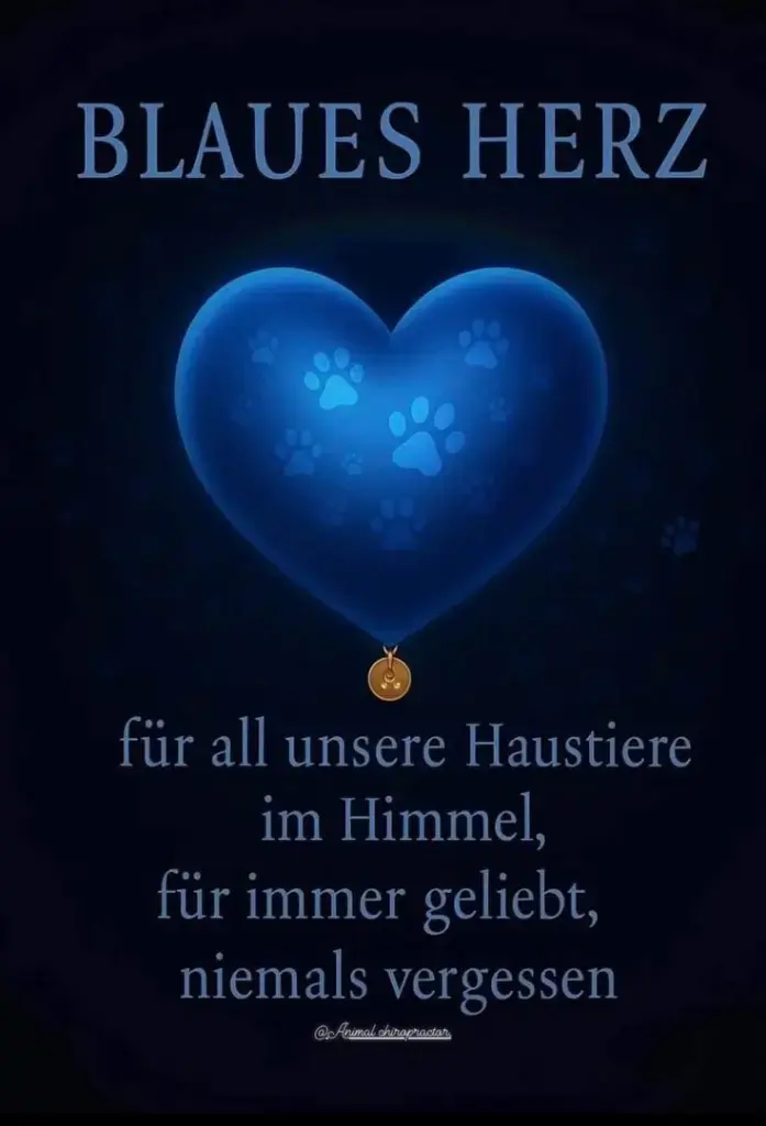 Condolence image of Konny mit Piccolino-Fly tief im ❤️