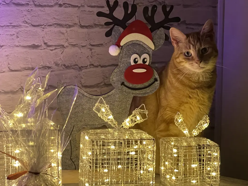 Condolence image of Jacqueline Langer