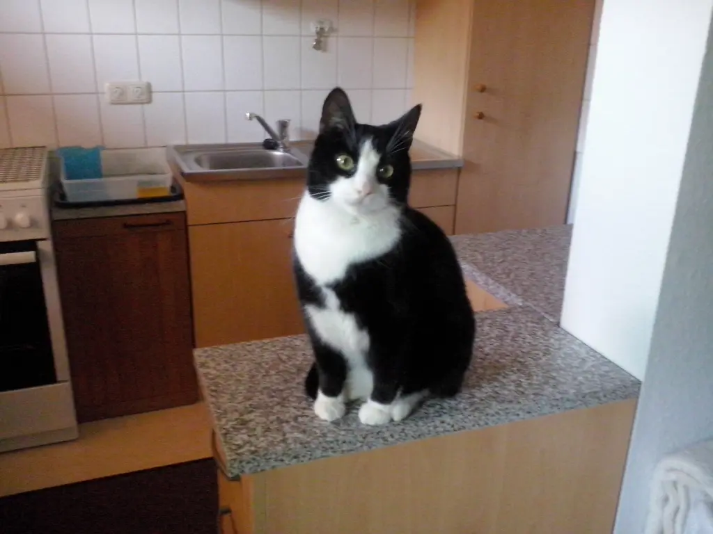 Image from Blitz