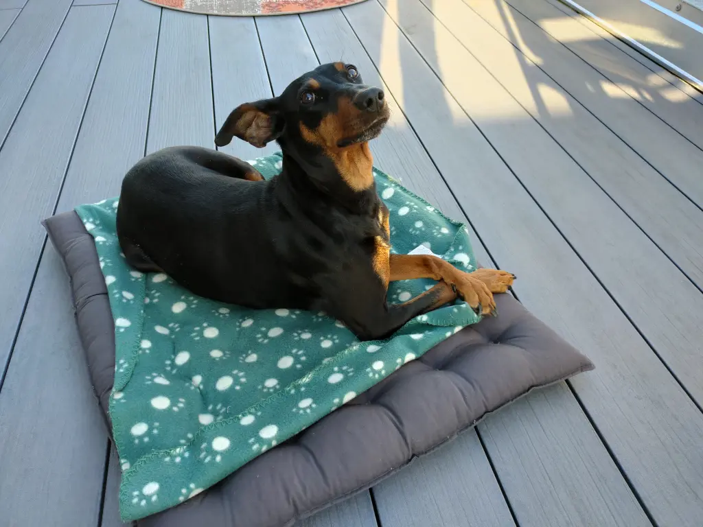 Auf der Dachterrasse