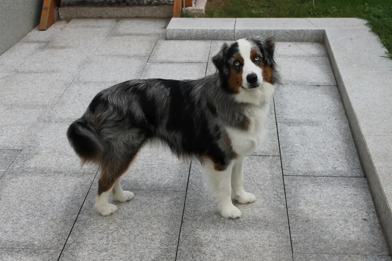 Image from Benni