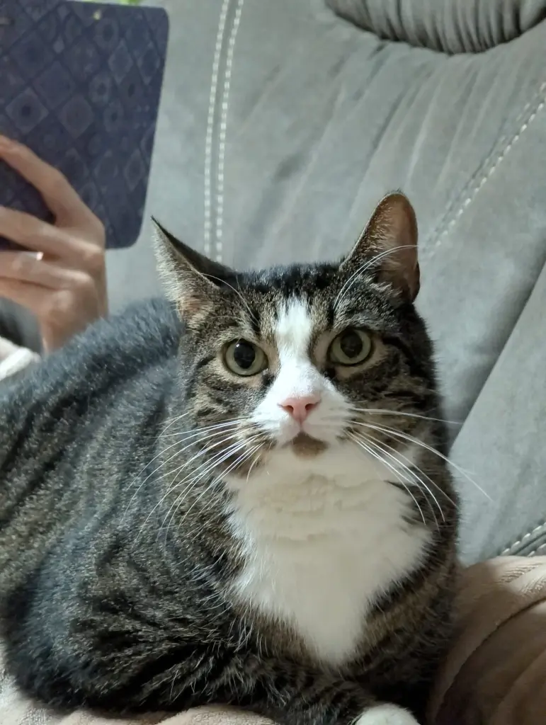 Bild von Charlie