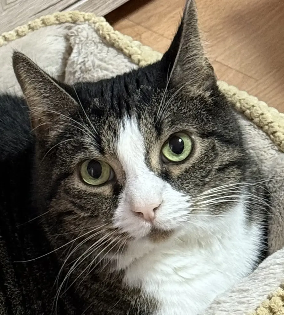 Bild von Charlie