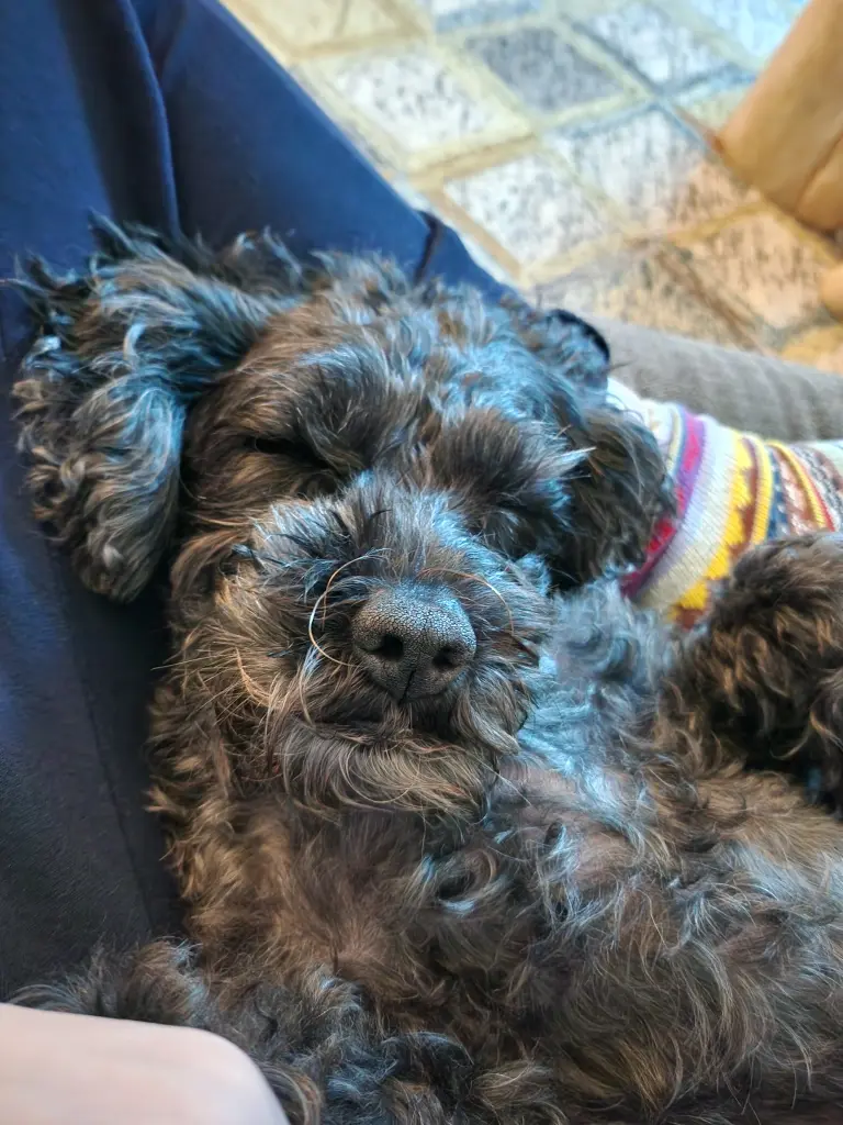 Andachtsbild von Tanja