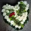 Condolence image of Christel mit Mumpi