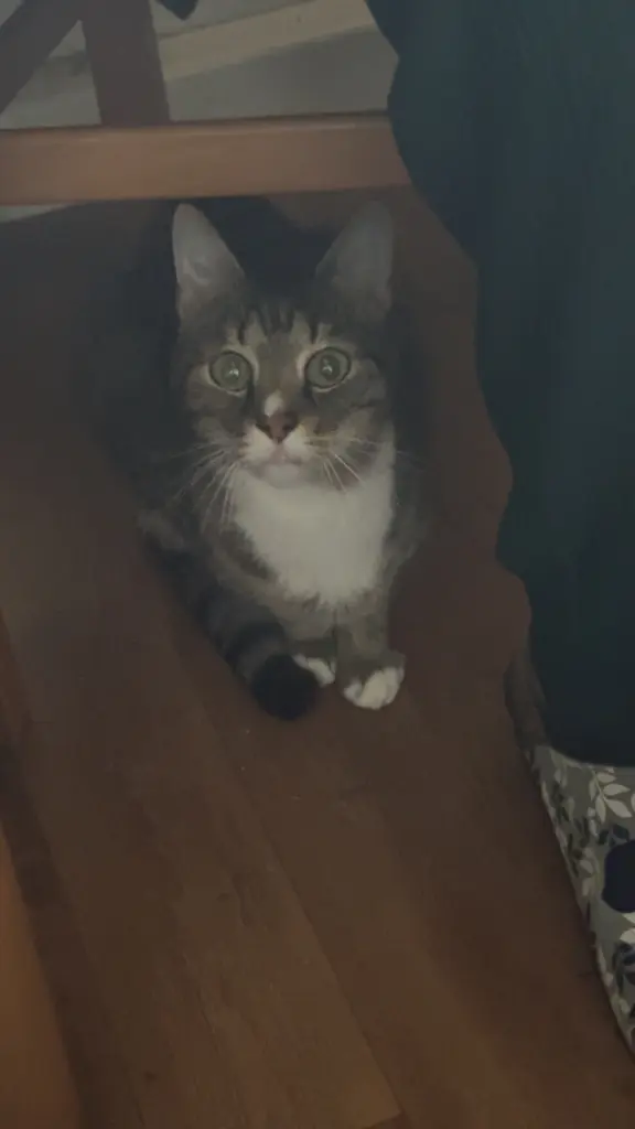 Andachtsbild von Celine Mayer