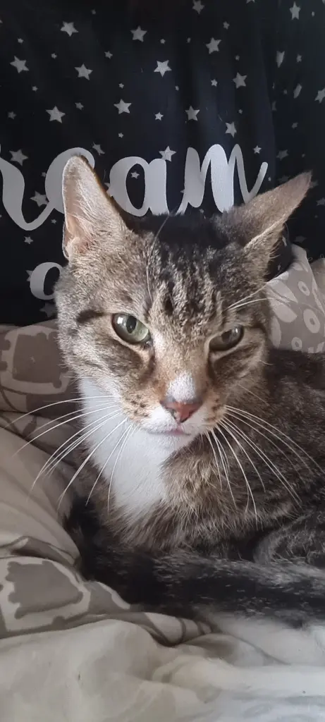 Immer bei Mama im Arm