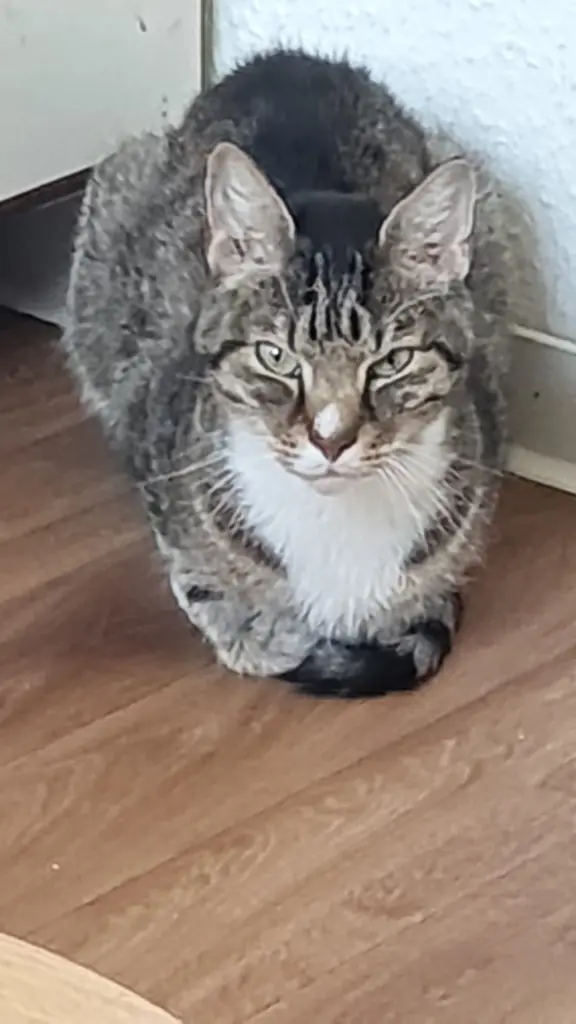 Böser Blick