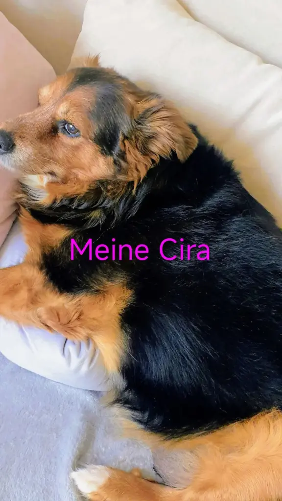 Image from Cira