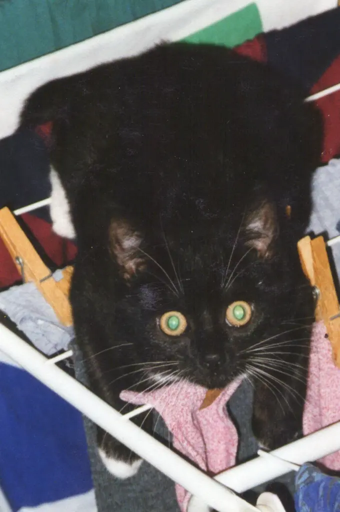 Condolence image of Sabine