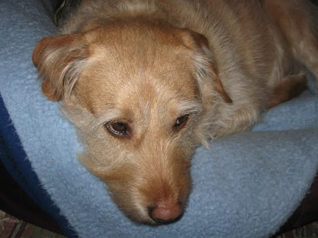Condolence image of Christiane