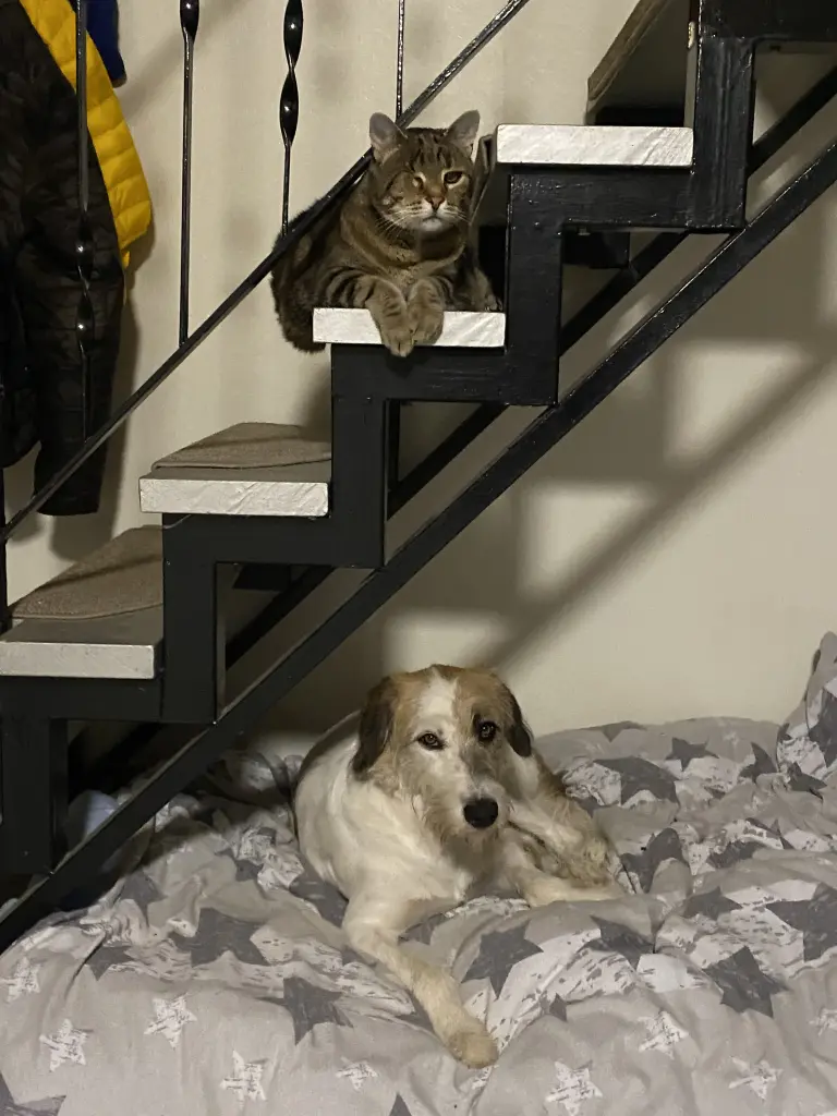 Andachtsbild von Yvonne Peters