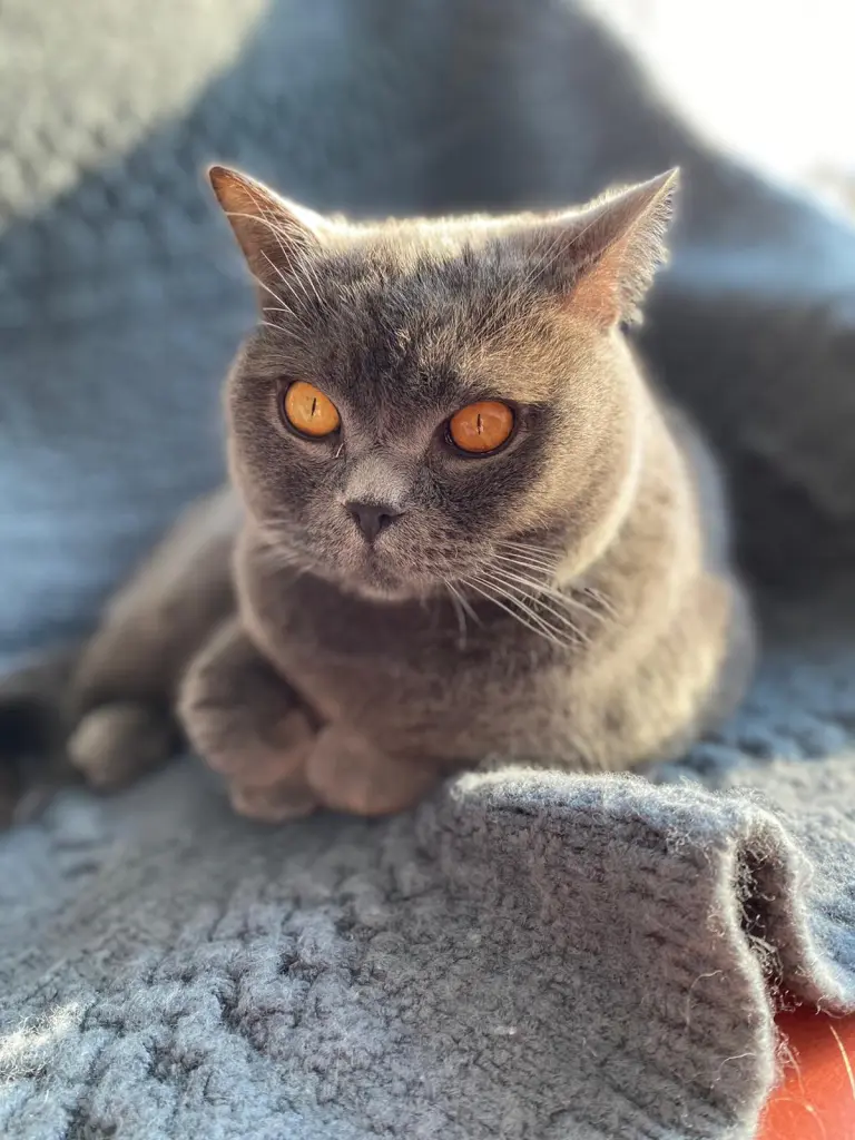 Condolence image of Joachim Olek