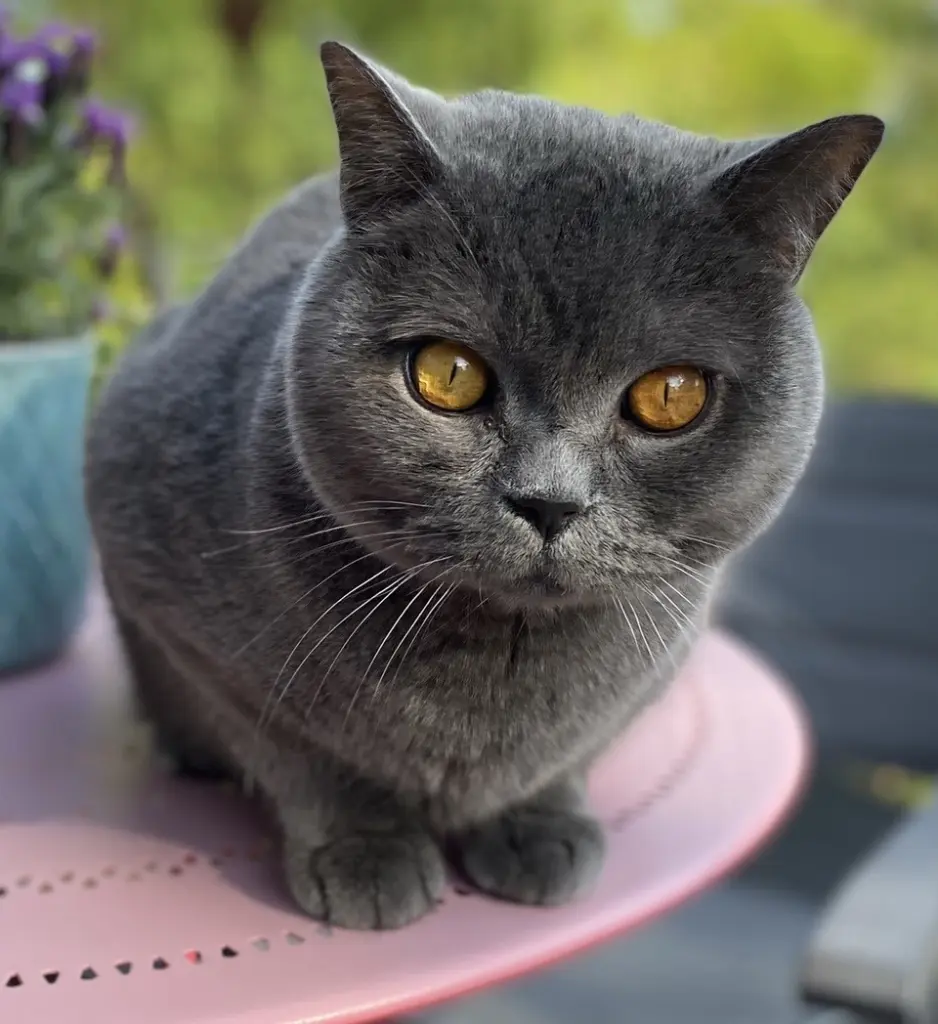 Condolence image of Heide Römer