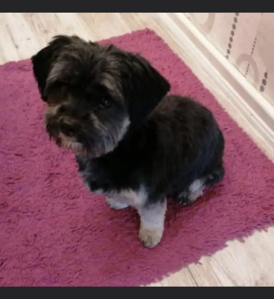 Andachtsbild von Tina Kasten