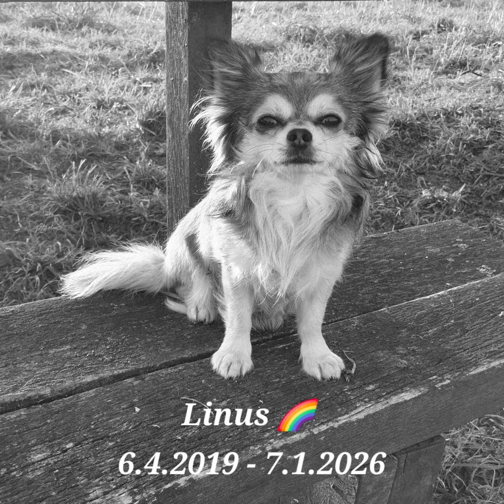 Bild von Linus