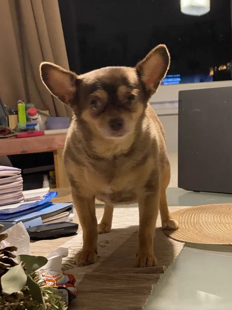 Andachtsbild von Deine Mama