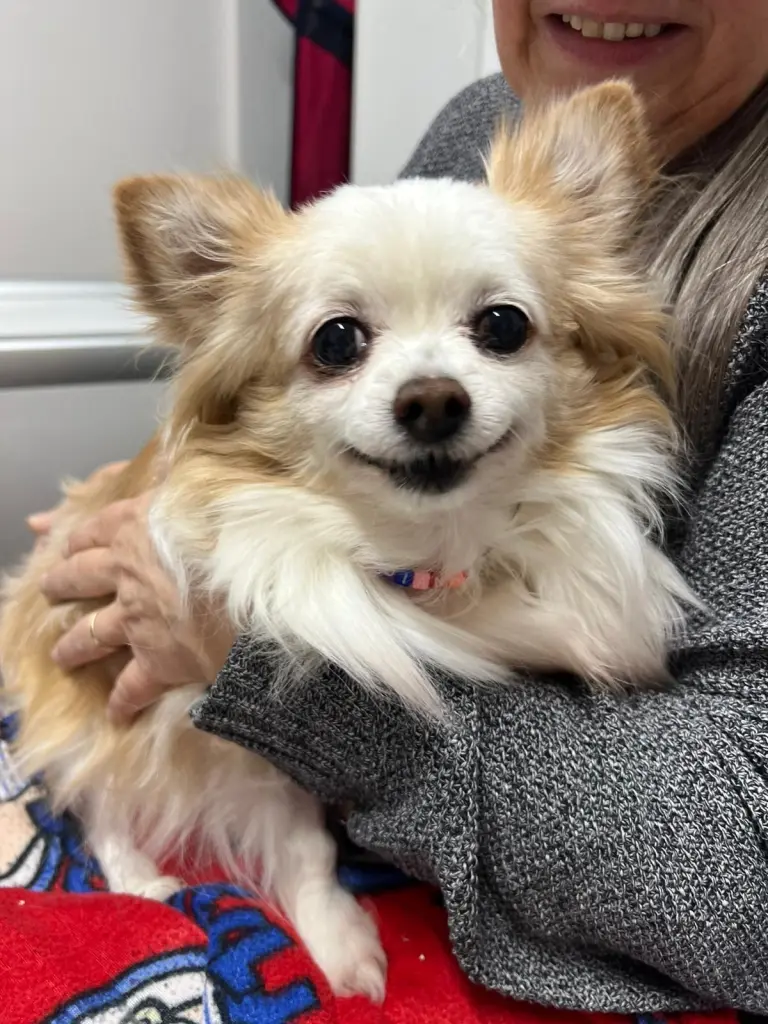 Eines unserer letzten Fotos