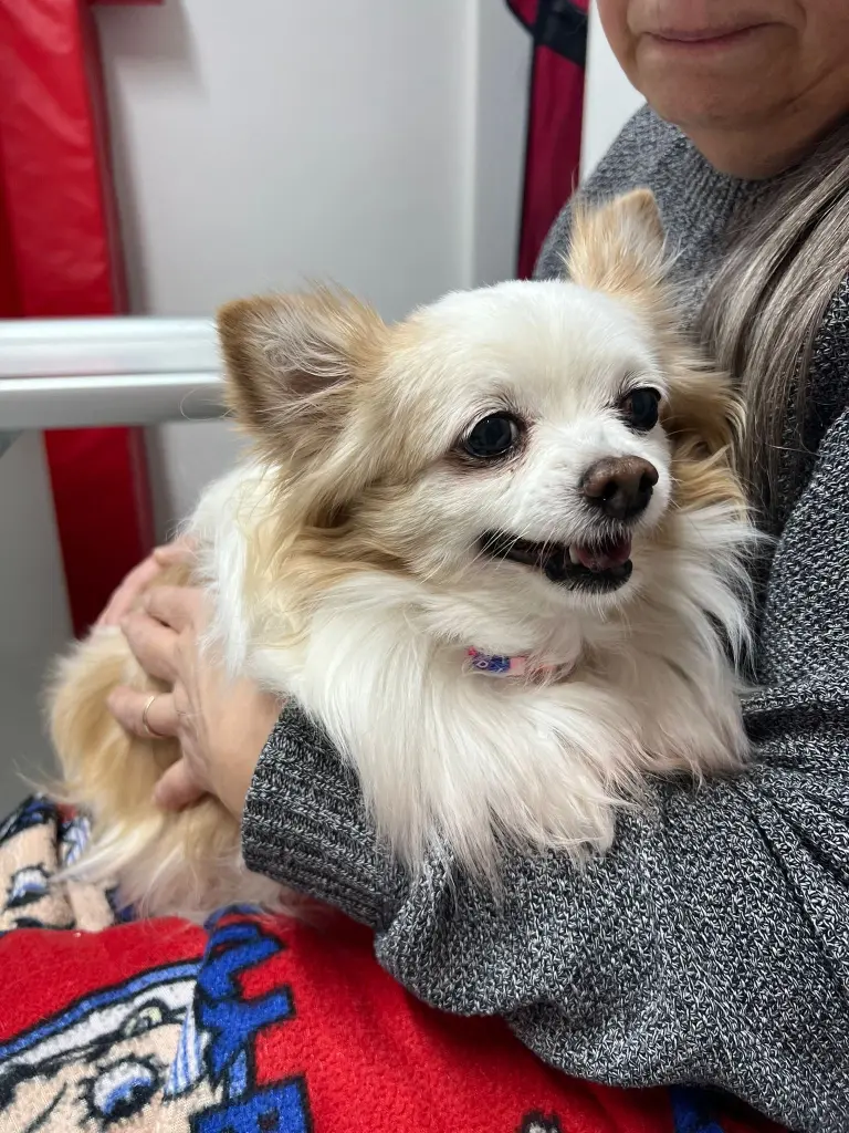 Ich liebe dich 🥹💗❤️✨