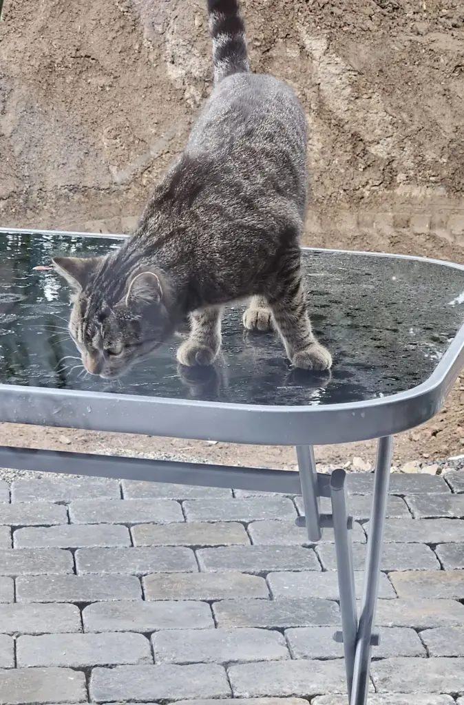 Ich darf nicht auf den Tisch, egal die sind bei Regen eh drinnen.