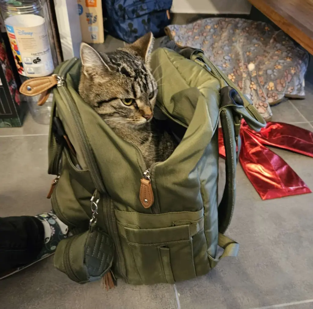 Ausflug? Alles klar ich bin bereit.