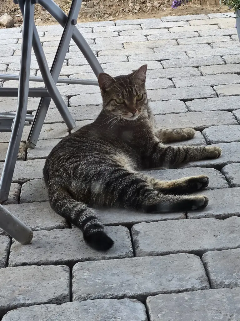 Draußen ist es soooooo schön.