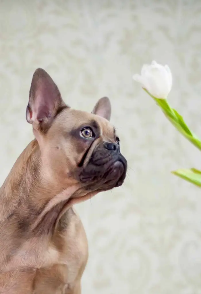 Liebevoll mit viel Herz.